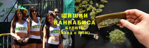 spice Верхний Тагил