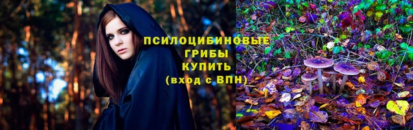 шишки Верхнеуральск