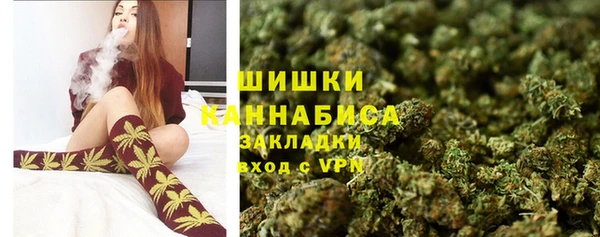 spice Верхний Тагил